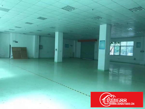 坂田上雪工业区新出一楼带装修厂房1360平出租
