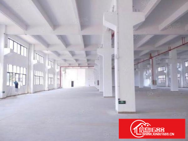 均安镇12500平方独院14层厂房产业保护区带红本可分租