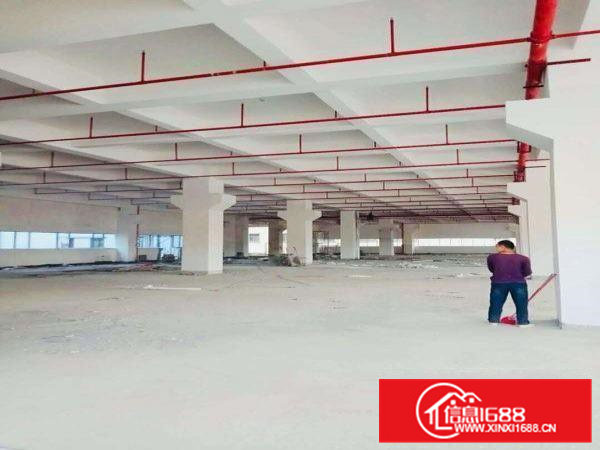 香港上市公司厂房出租，环境好，政府厂房，有环评