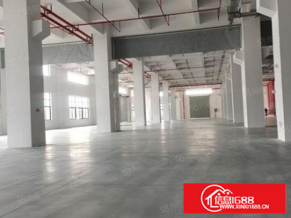 （出租）红本全新厂房独门独院，现成高台卸货平台5吨大货梯