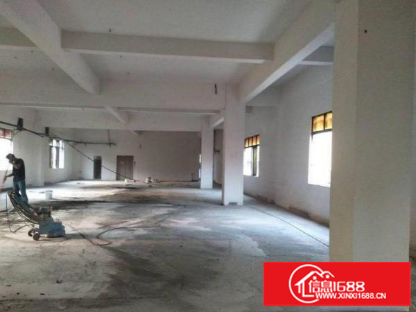 出租龙岗区平湖全新标准一楼厂房1000平米