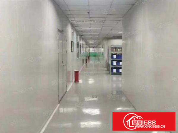 新出南海里水5000方钢结构大厂房可环评