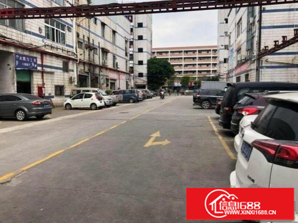 平湖中泰汽车产业园铺面1000平方大小分