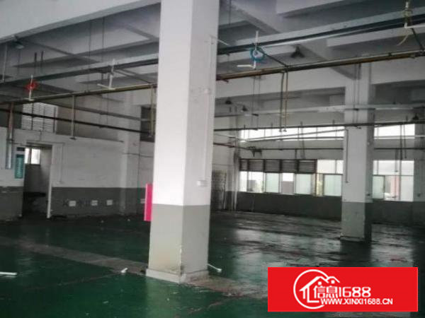 原房东标准一楼出租实际面积