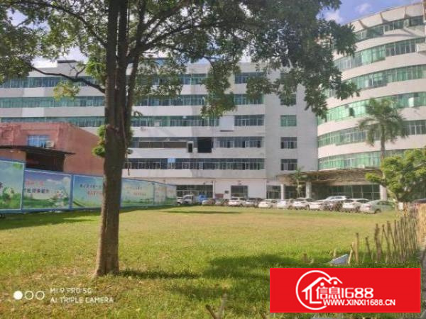 一手房东二、三楼各2200平米