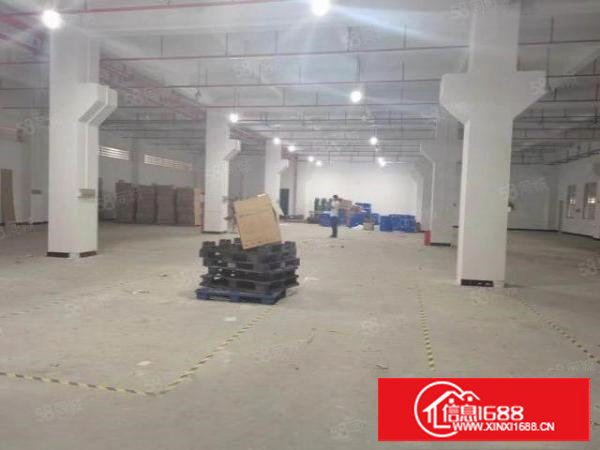 塘厦蛟乙塘新出标准厂房一楼550平方，6米高，有现成办公室。