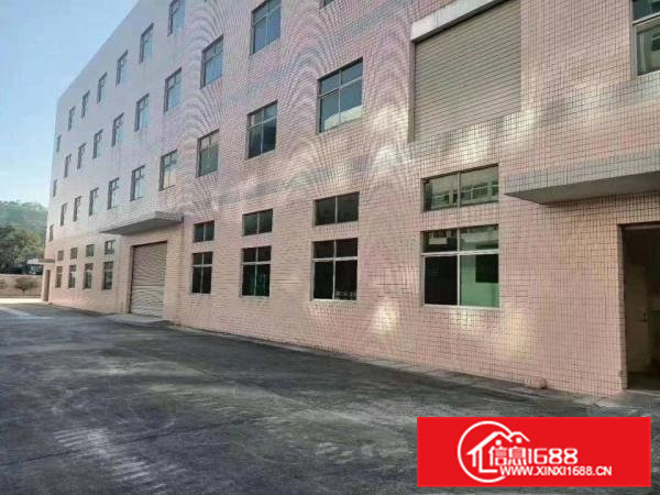 业主直租，油甘埔200平方到800平方带装修水电办公室地坪漆