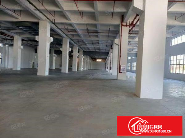 清溪红本厂房可申政府补贴高新产业园出租