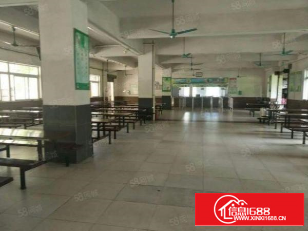 茶山镇原房东独院厂房3400平方出租，主干道边上