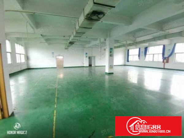 松岗独门独院，13层4500平。