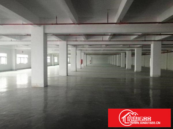 平湖工业区厂房一楼1000平楼上500平带牛角