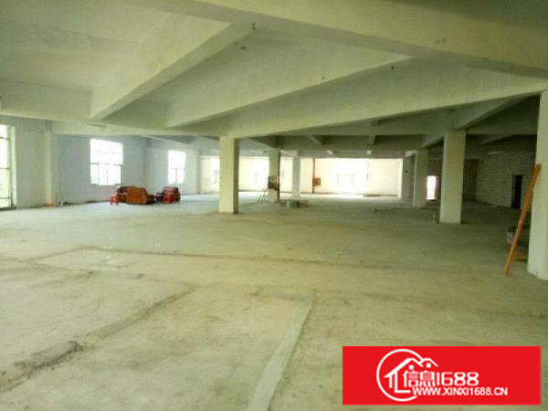 松岗大田洋1760平单层大厂房出租,可分割,实图