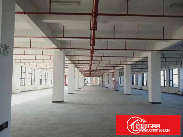 容桂龙涌口2000平厂房出租