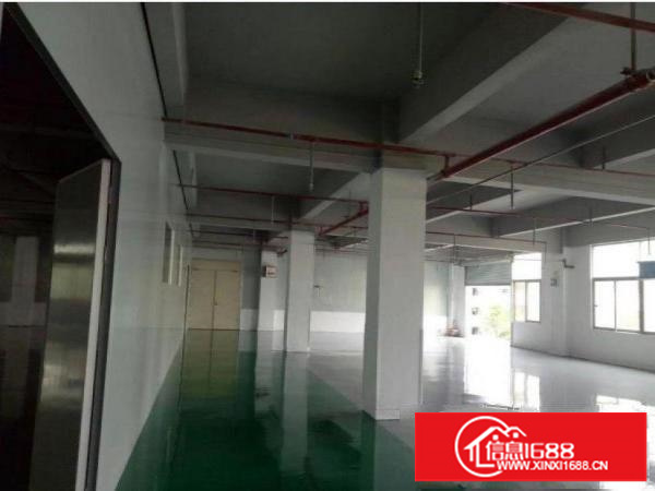 横岗松柏社区标准厂房一楼550平方出租，现成地坪漆