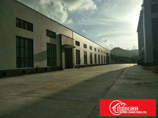 惠阳镇隆独栋钢构厂房15000平方出租，滴水10米