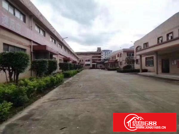 惠阳秋长红本钢构厂房出租