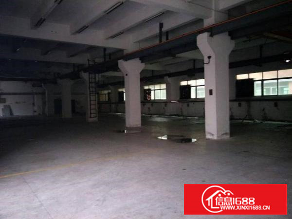 沙湖靠深圳厂房1350平米标准一楼带牛角可分租整租