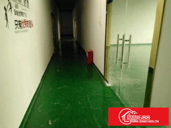 沙井107国道新桥高速路口东环路2楼200平精装修厂房出租