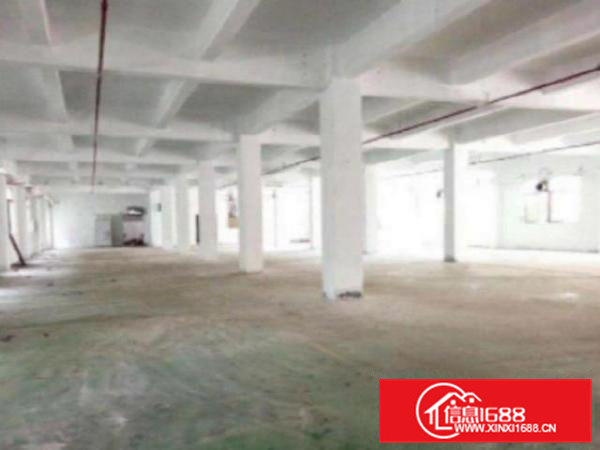 高埗新出标准独院厂房总面积16000平方。厂房：三层带消防