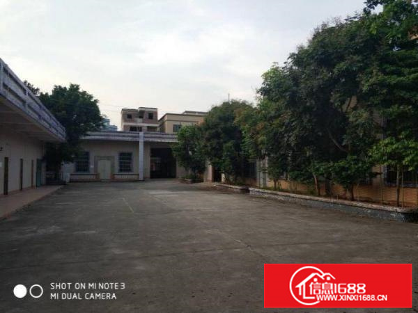 惠阳秋长混凝土单一层独院厂房2500平空地大