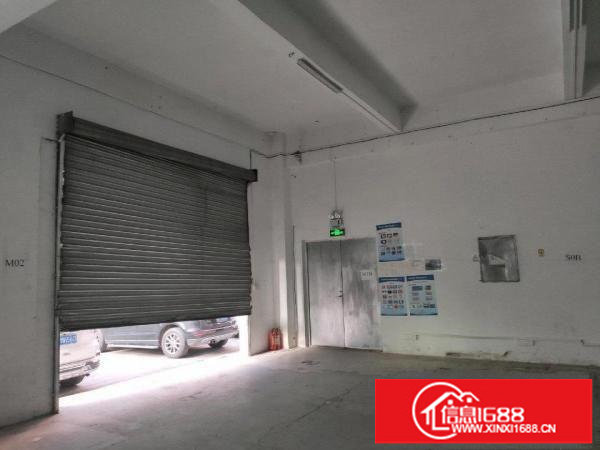 上雪科技园一楼新出独门独院厂房