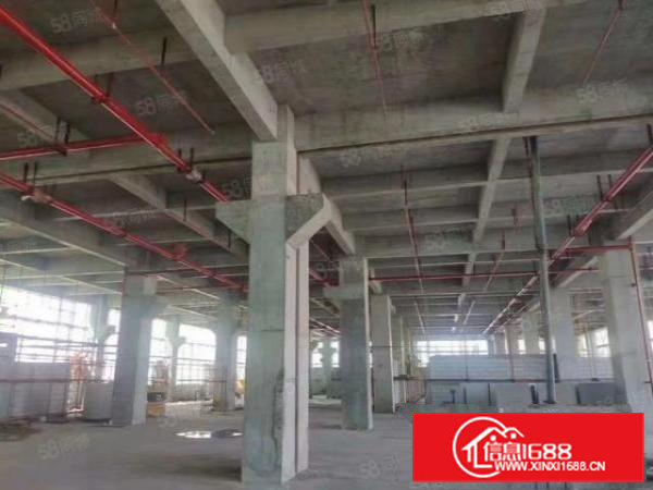 东莞市大岭山镇一手房东独院厂房30000平方，一楼带牛角