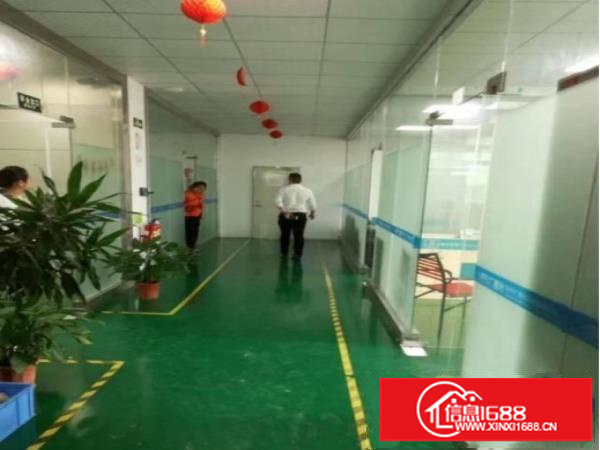 [坪山厂房]坪山碧岭新出楼上1200平标准厂房招租