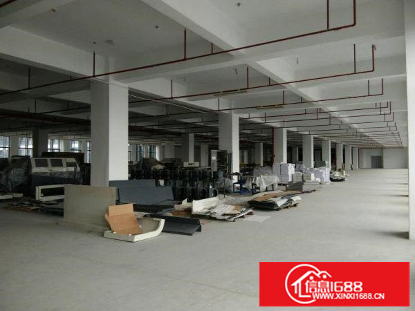 龙岗原房东独门独院4600平带装修厂房出租