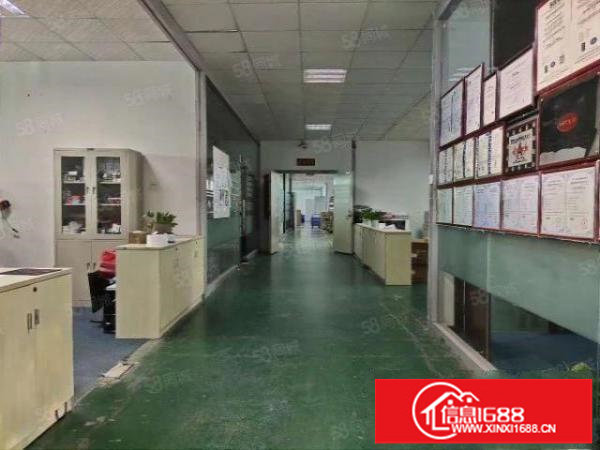 龙岗中心城正中时代附近新出1200平厂房出租100平起分租