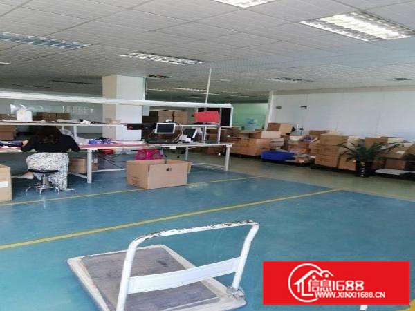 横岗荷坳地铁站新出1800平方带装修厂房