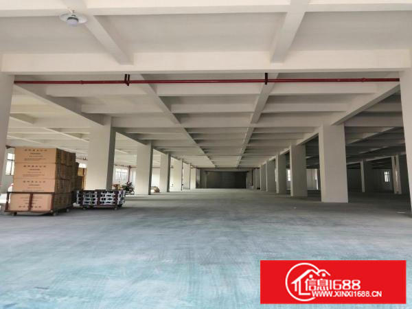 南海里水1000至6000平方标准厂房仓库出租