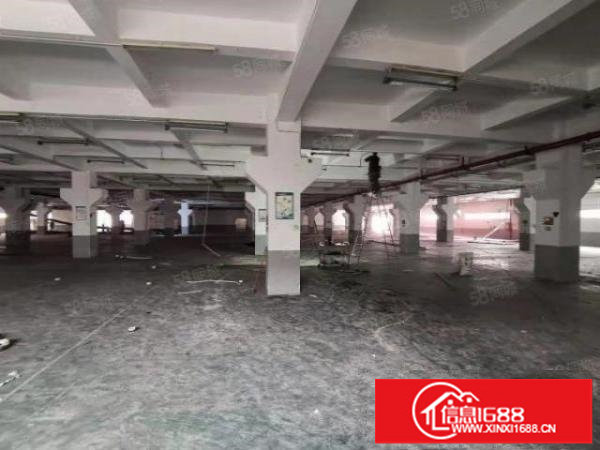 布吉李朗高新园区厂房200500800100