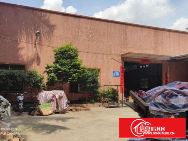 石排镇独院钢构厂房1750，有办公室宿舍配套，空地500