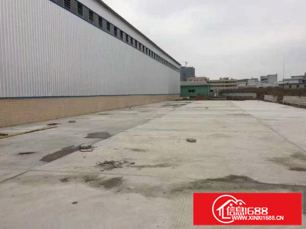 石排镇(赤坎村)独院单一层厂5000平出租