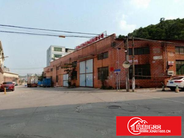 五沙独门独院3500方配套独立办公宿舍形象好可办环评A