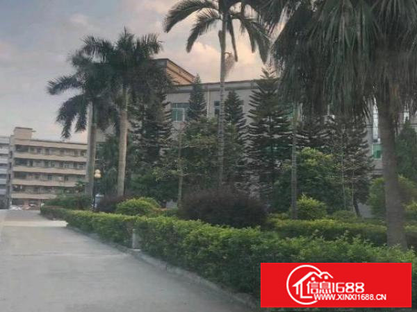 真实:库坑二楼1900平方有装修