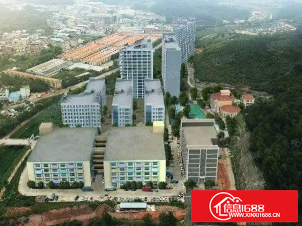 全新厂房一手房东直租5万800平方价格底至12元