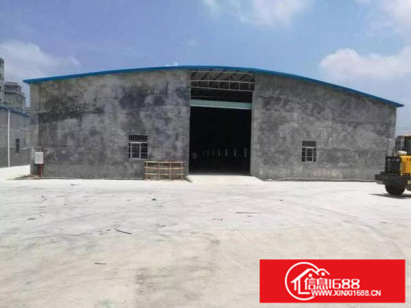 原房东金桔新出独院砖墙铁皮厂房530平厂房出租无公摊杂费