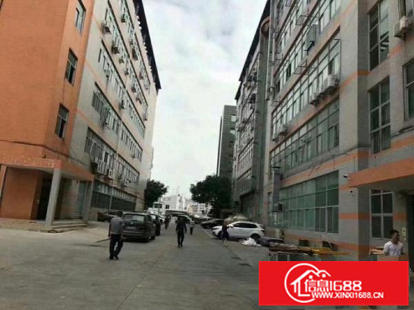 坂田岗头厂房出租100平300平500平带装修,物流仓库外贸