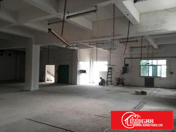 原房东，塘厦田心600平方米3楼标准厂房，电子手袋，人气旺