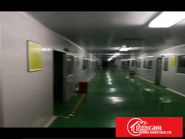 横岗地铁站附近1500平无尘车间出租，可做口罩，电子高新行业