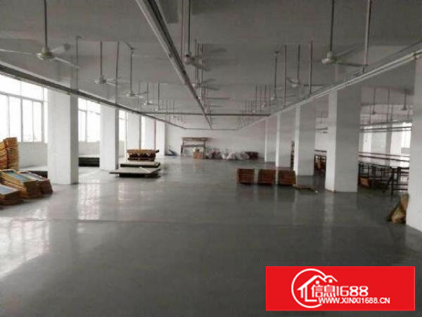 塘厦大坪四黎南路大道独院2楼1100平方！一整层电子车间