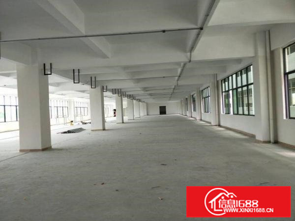 东莞塘清凤交接处、全新7层厂房火热招租、