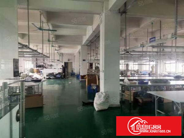 精装修！石排标准厂房分租3楼1200方，现成办公室！