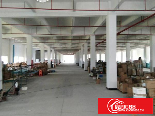 陈江大欣工业区一楼标准厂房1150带装修现成水电