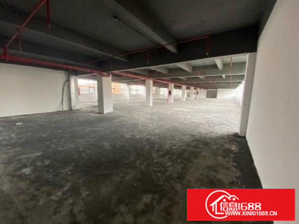 富民工业区1000平厂房出租。带标准货梯。