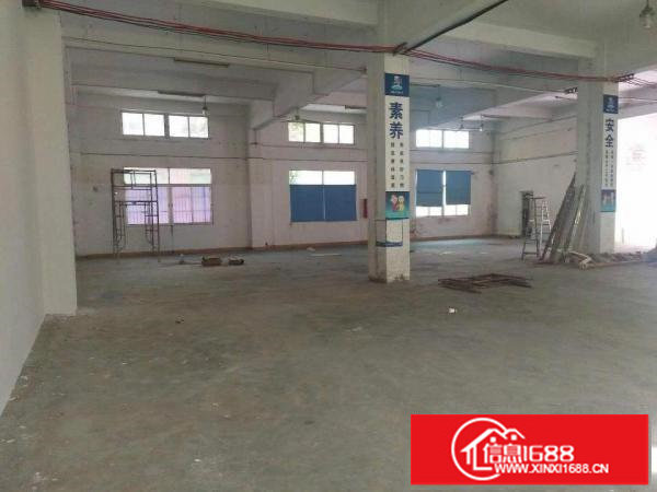 龙华大浪华信购物广场附近新出一楼680平