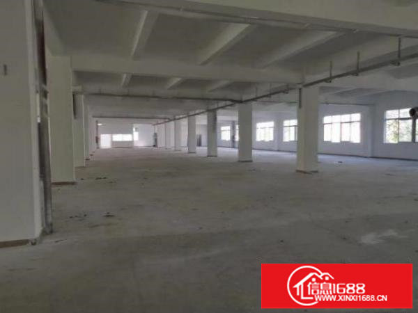 观澜独门独院厂房出租，可分租，火热招商中