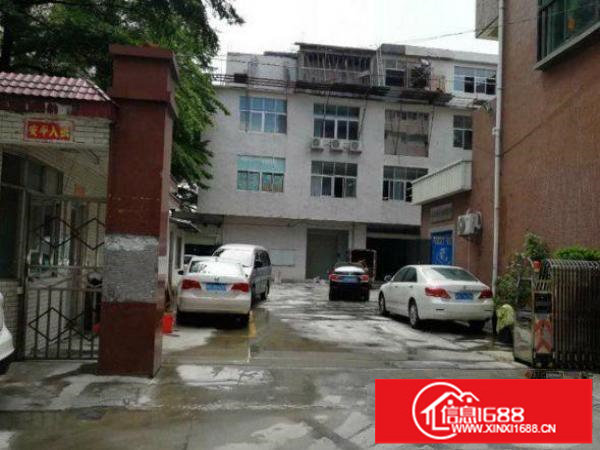 出租坪山新区三洋湖全新装修标准一楼厂房1000平方