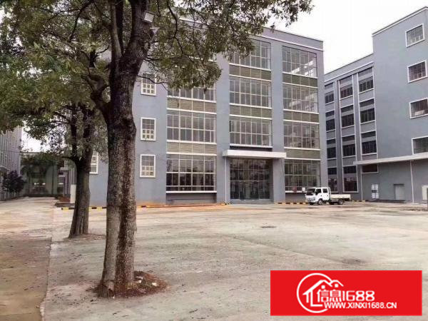 大岭山镇莞长路一楼带二楼带牛角6米高红本厂房出租